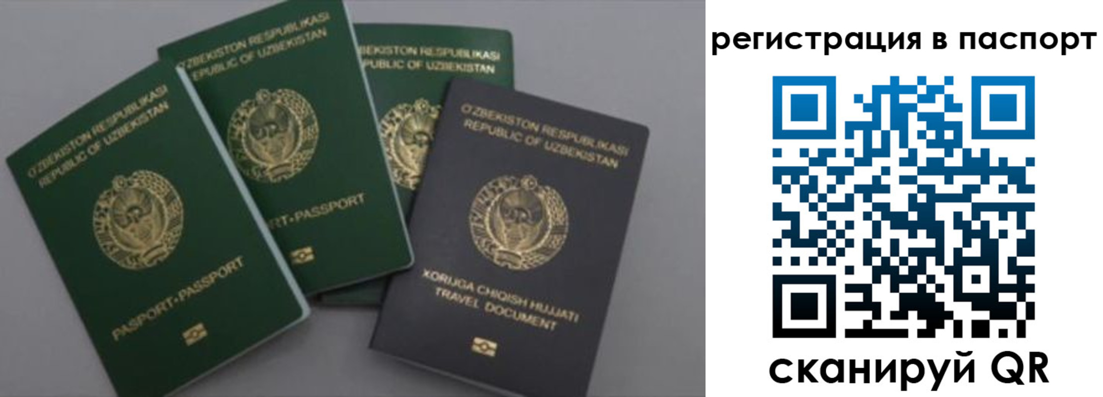 прописка от собственника в Армавире